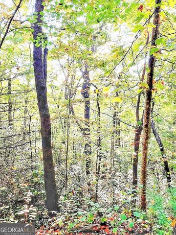 0 Blue Ridge Gap Road, Rabun Gap, GA 30568