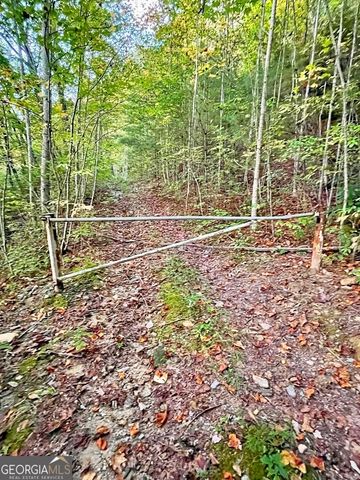 0 Blue Ridge Gap Road, Rabun Gap, GA 30568