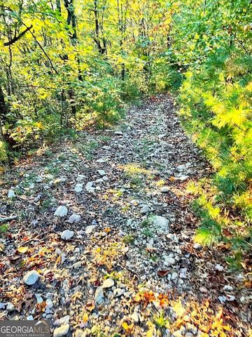 0 Blue Ridge Gap Road, Rabun Gap, GA 30568