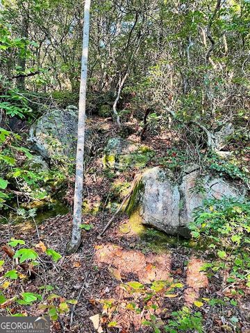 0 Blue Ridge Gap Road, Rabun Gap, GA 30568
