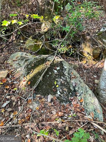 0 Blue Ridge Gap Road, Rabun Gap, GA 30568