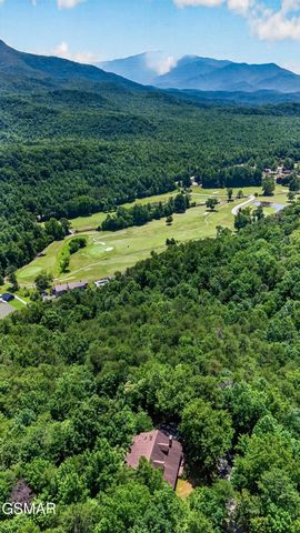 549 Geneva Lane, Gatlinburg, TN 37738