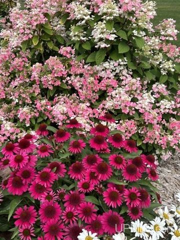 16968 S River Road, Chassell, MI 49916