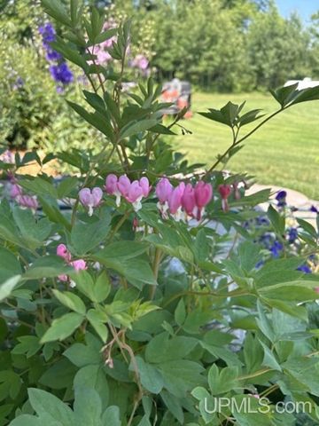 16968 S River Road, Chassell, MI 49916