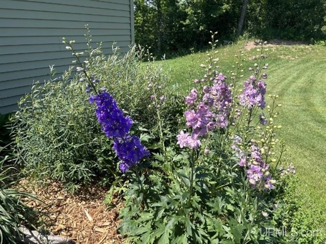 16968 S River Road, Chassell, MI 49916