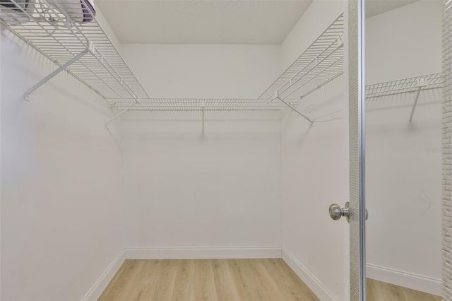 6503 MANILA PALM WAY, Apollo Beach, FL 33572