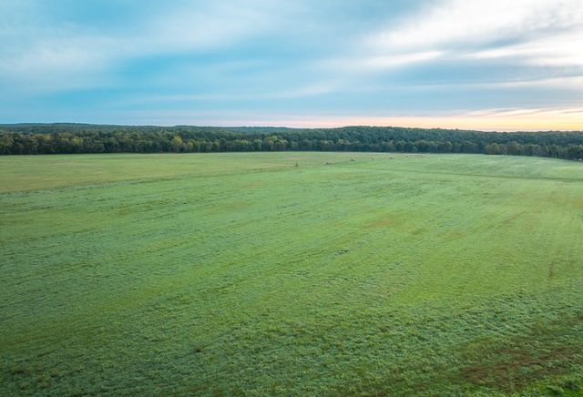 1224 County Road 3165, Salem, MO 65560