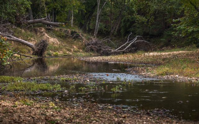 1224 County Road 3165, Salem, MO 65560