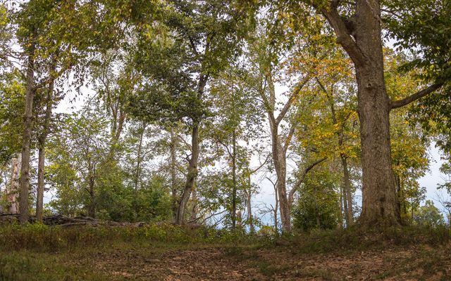 1224 County Road 3165, Salem, MO 65560