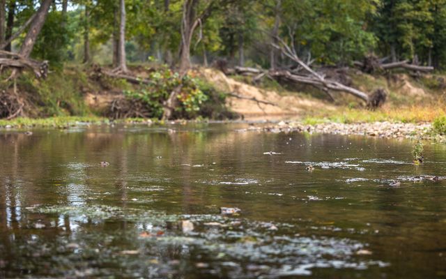 1224 County Road 3165, Salem, MO 65560