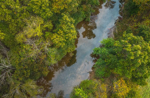 1224 County Road 3165, Salem, MO 65560