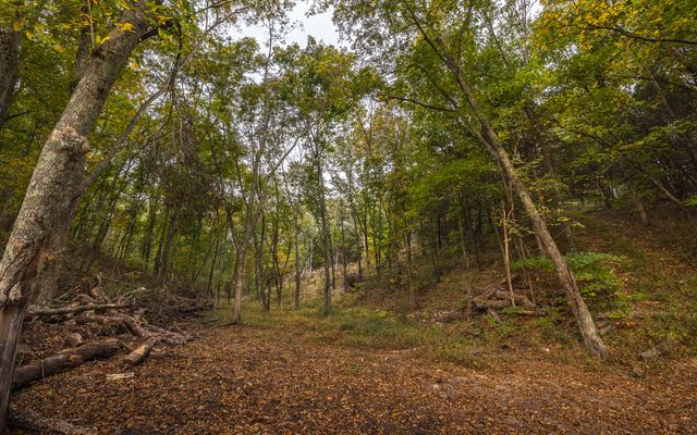 1224 County Road 3165, Salem, MO 65560