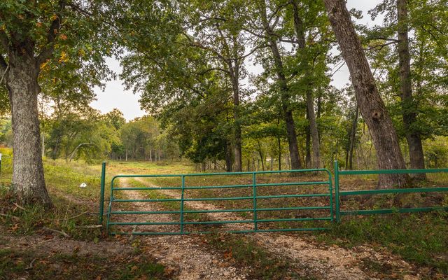 1224 County Road 3165, Salem, MO 65560