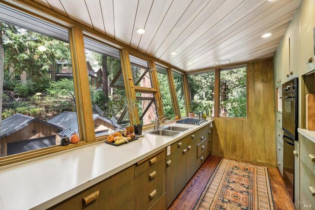 20 Winwood Pl, Mill Valley, CA 94941