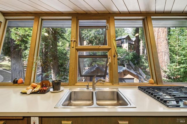 20 Winwood Pl, Mill Valley, CA 94941