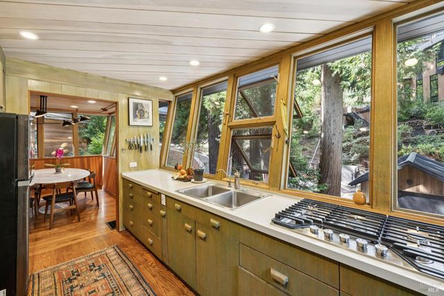 20 Winwood Pl, Mill Valley, CA 94941