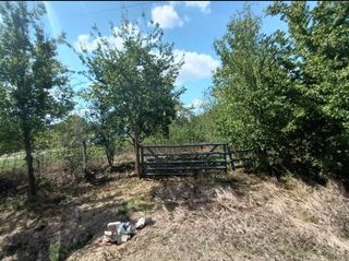 8214 Noble Street, Needville, TX 77461