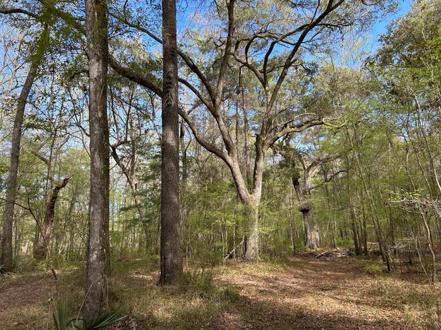 1 Boat Landing Road, Ridgeville, SC 29472