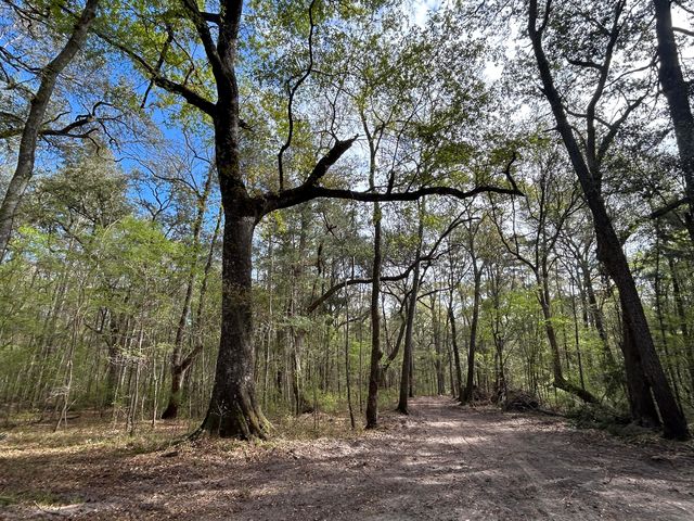 1 Boat Landing Road, Ridgeville, SC 29472