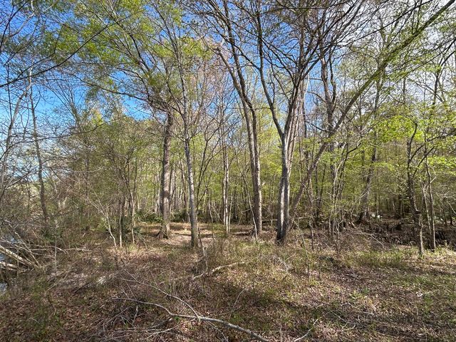 1 Boat Landing Road, Ridgeville, SC 29472