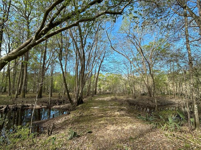1 Boat Landing Road, Ridgeville, SC 29472