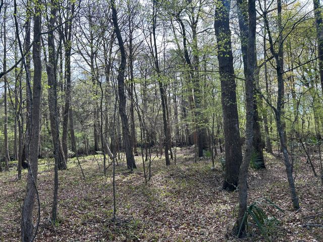 1 Boat Landing Road, Ridgeville, SC 29472