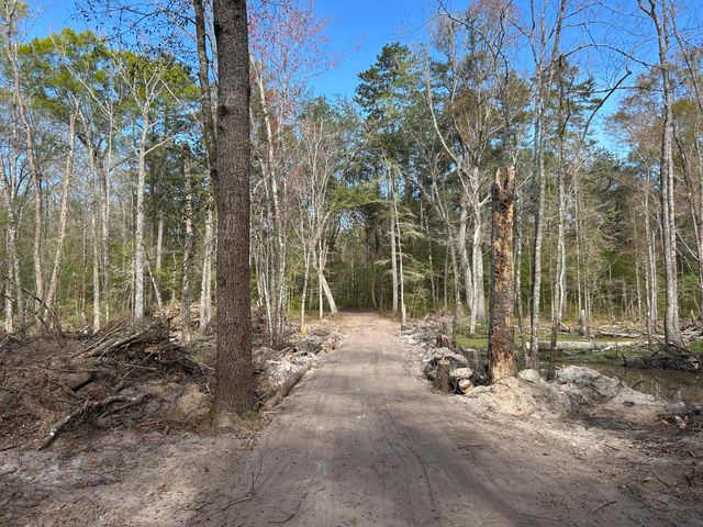 1 Boat Landing Road, Ridgeville, SC 29472