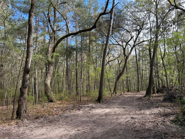 1 Boat Landing Road, Ridgeville, SC 29472