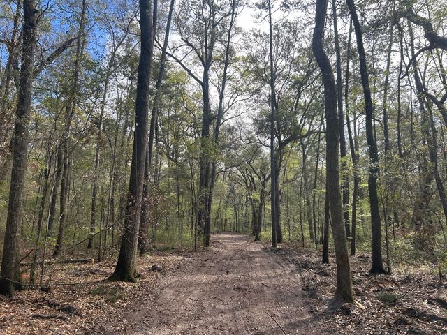 1 Boat Landing Road, Ridgeville, SC 29472