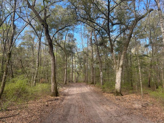 1 Boat Landing Road, Ridgeville, SC 29472
