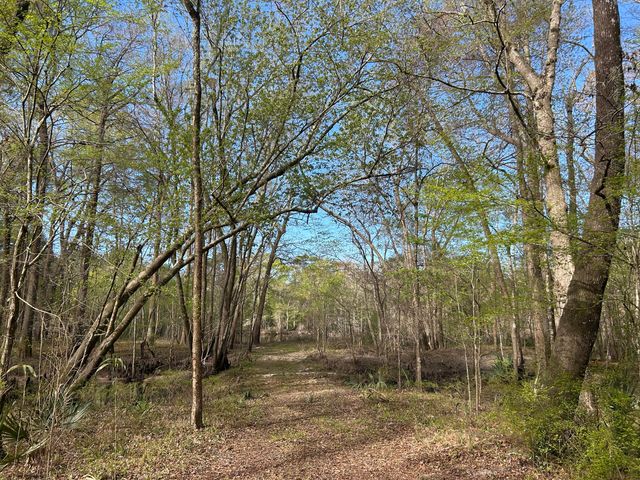 1 Boat Landing Road, Ridgeville, SC 29472