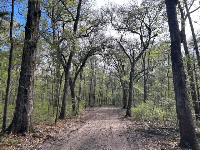1 Boat Landing Road, Ridgeville, SC 29472