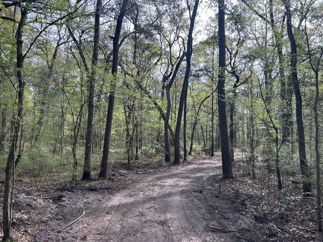 1 Boat Landing Road, Ridgeville, SC 29472