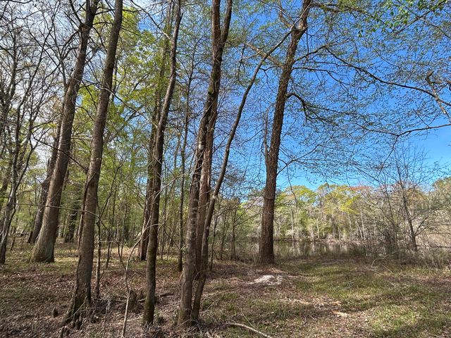 1 Boat Landing Road, Ridgeville, SC 29472