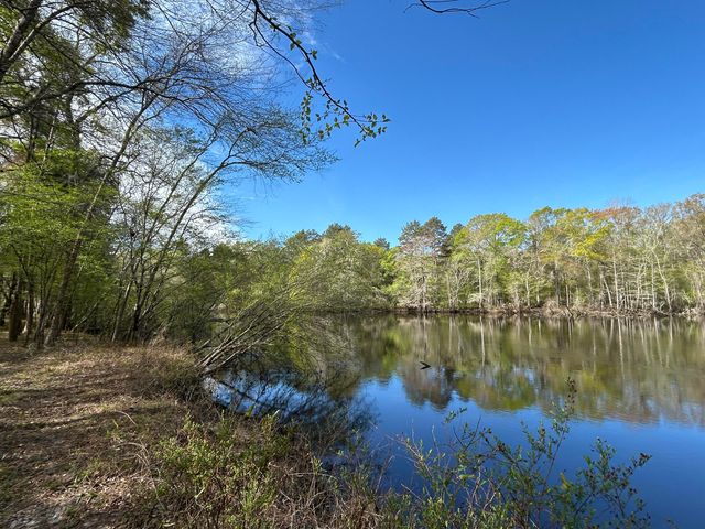 1 Boat Landing Road, Ridgeville, SC 29472