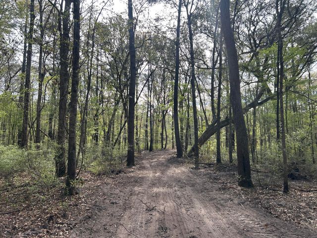 1 Boat Landing Road, Ridgeville, SC 29472