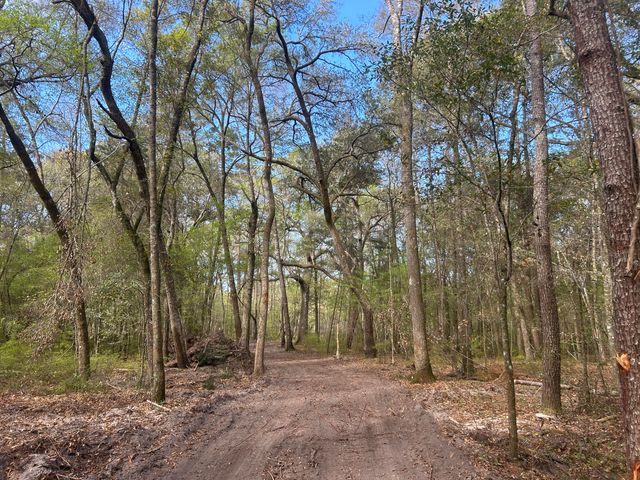 1 Boat Landing Road, Ridgeville, SC 29472
