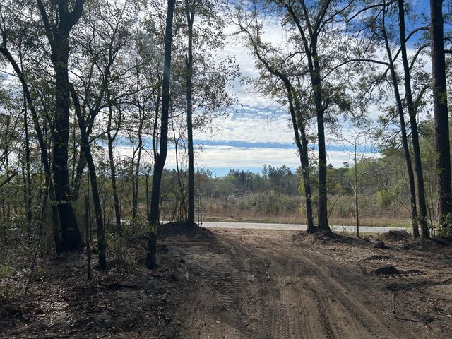 1 Boat Landing Road, Ridgeville, SC 29472