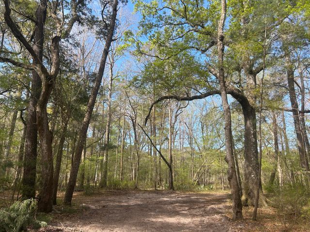 1 Boat Landing Road, Ridgeville, SC 29472