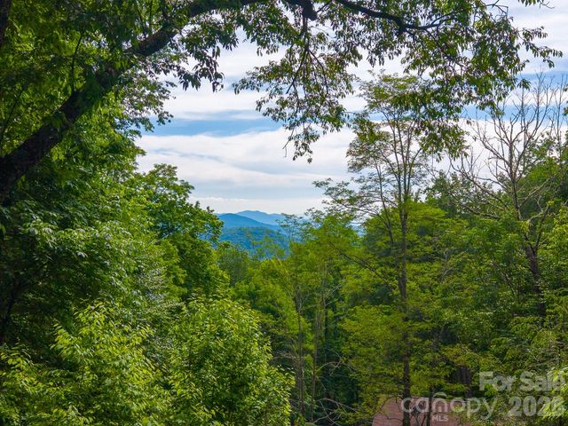 903 Plott Balsam Road, Maggie Valley, NC 28751