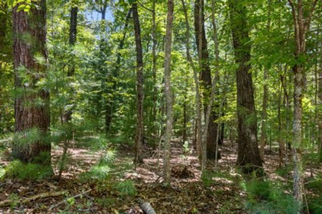 1489 Boy Scout Road, Blairsville, GA 30512