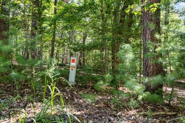 1489 Boy Scout Road, Blairsville, GA 30512