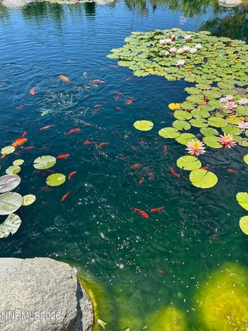 1238 Centerville Lane, Gardnerville, NV 89460