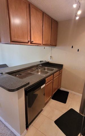 302 LAKE PARSONS GREEN 102, Brandon, FL 33511
