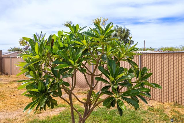 901 S Palm Ave, Yuma, AZ 85364