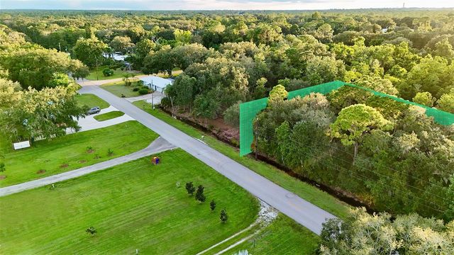 1514 BLACKWILLOW STREET, Lake Placid, FL 33852