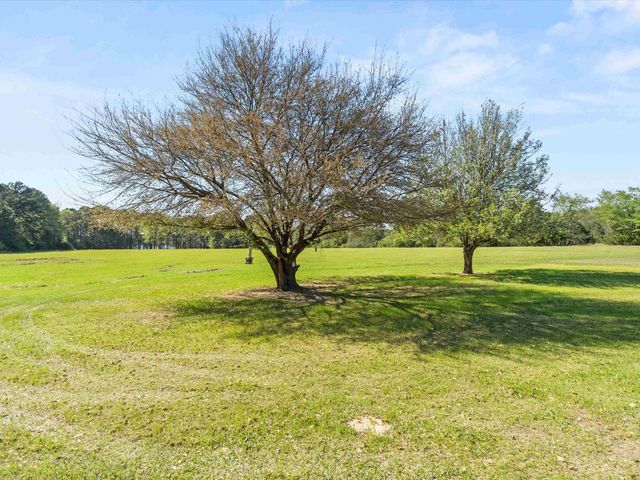 4770 COUNTY ROAD 4575, Pittsburg, TX 75686