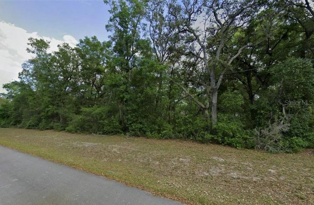 0 SE 59TH PLACE, Ocklawaha, FL 32179