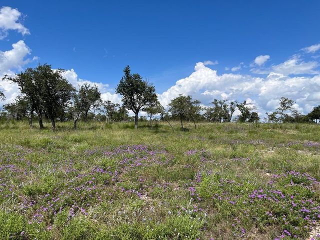 Lot 10 Sweetwind, Harper, TX 78631
