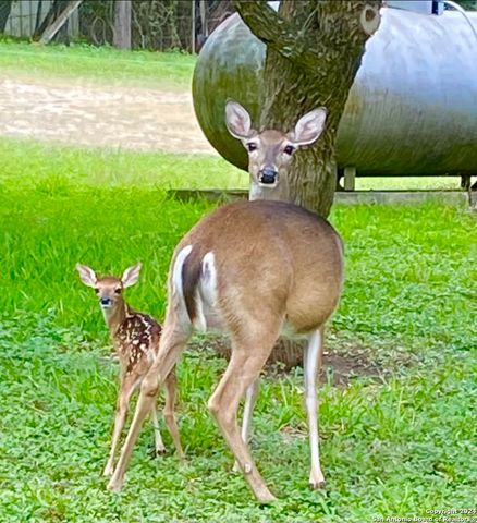 8651 Bindseil Ln, San Antonio, TX 78266